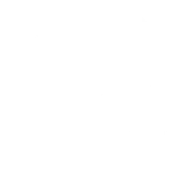 Logo Nha Khoa Đăng Lưu